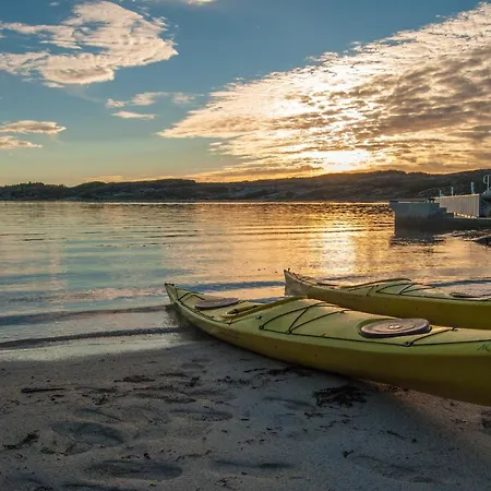 Panorama Rorbusuiter *