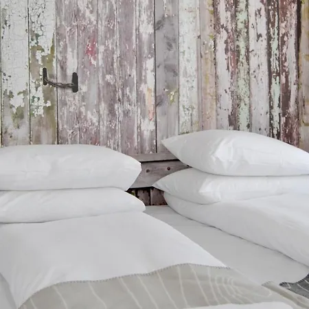 Panorama Rorbusuiter *