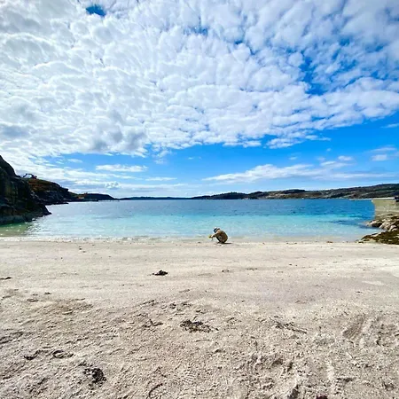 Panorama Rorbusuiter