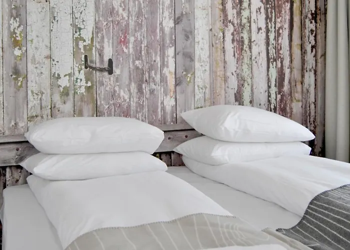 Panorama Rorbusuiter *