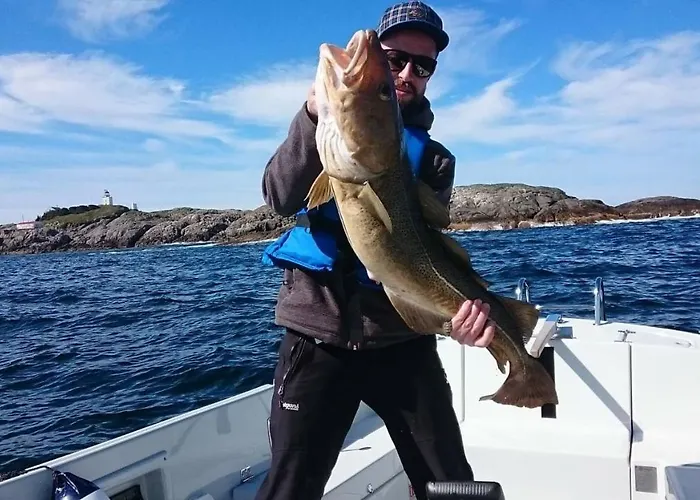 Panorama Rorbusuiter *