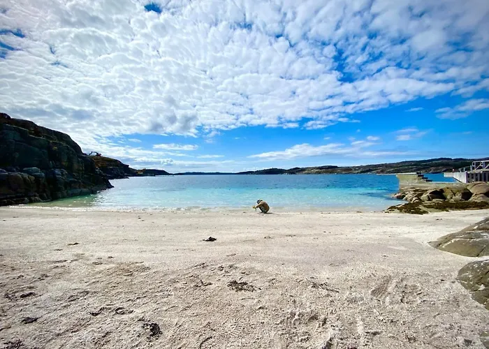 Panorama Rorbusuiter